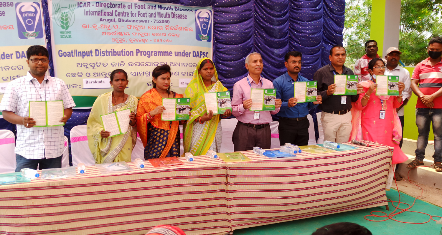 Goats/Input distribution by ICAR-DFMD at village Barakuda under DAPSC on 2nd April 2022