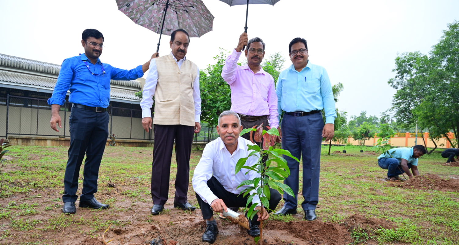 Plantation drive